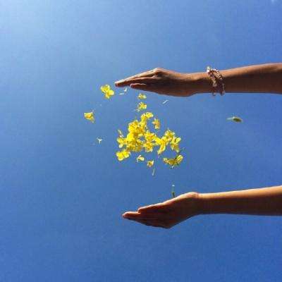 威尼斯会员登录